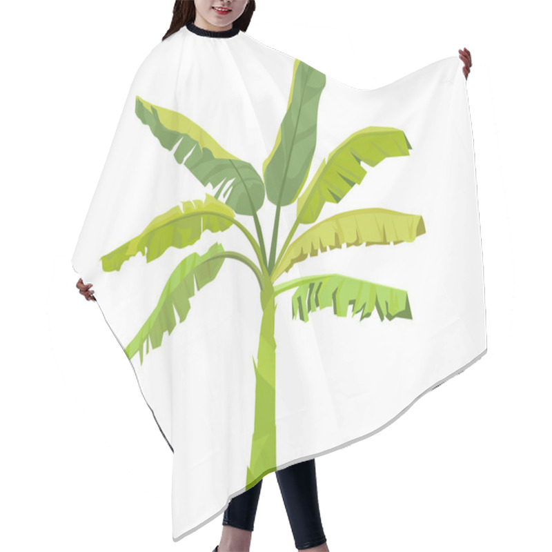 Personality  Banana Tree-Vector Hair Cutting Cape