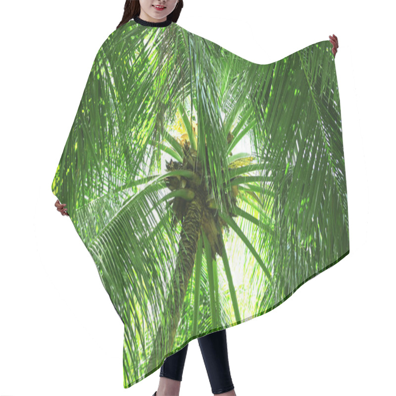 Personality  Green Leaves Of Exotic Palms Hair Cutting Cape