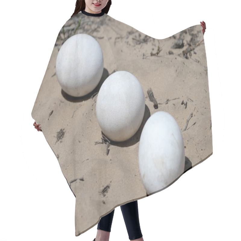 Personality  Ostrich Eggs Hair Cutting Cape