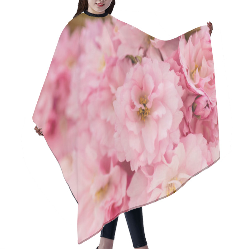 Personality  Close Up View Of Blossoming Pink Flowers Of Cherry Tree Hair Cutting Cape