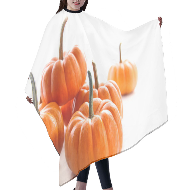 Personality  Miniature Orange Pumpkins Against White Hair Cutting Cape