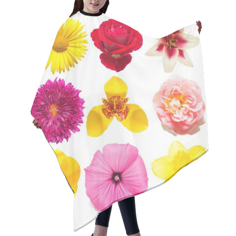 Personality  Flowers Collection Of Assorted Chrysanthemum, Tigridia, Mallow,  Hair Cutting Cape