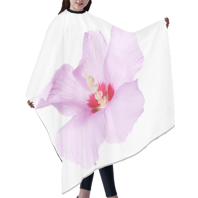 Personality  Beautiful Tropical Hibiscus Flower On White Background Hair Cutting Cape