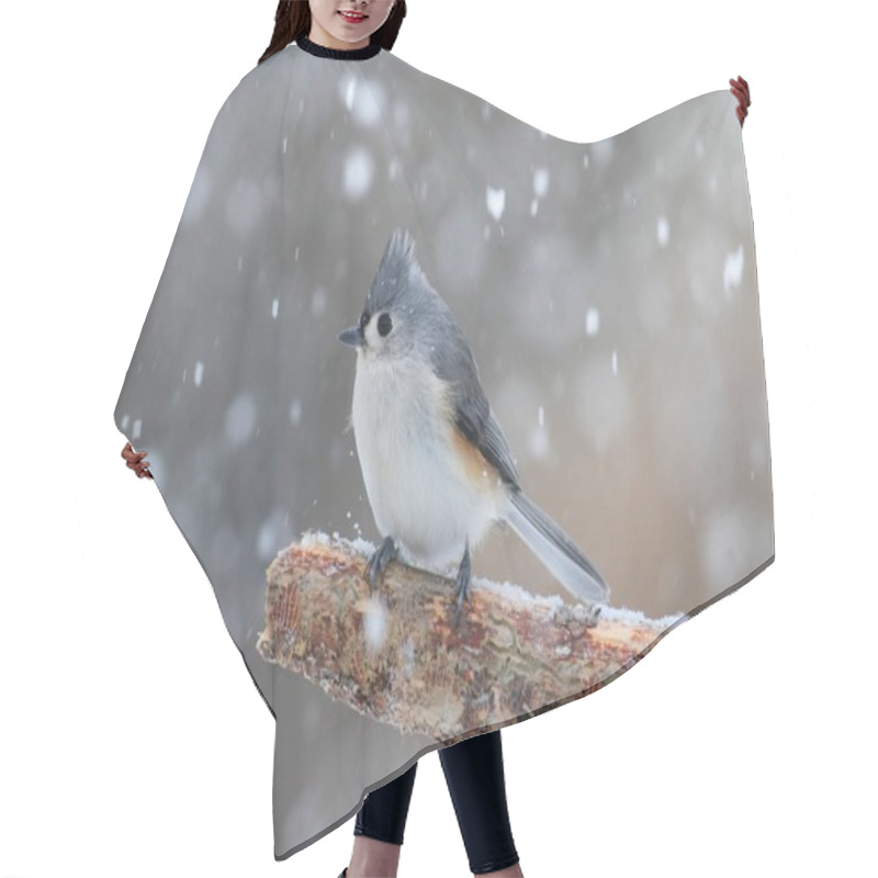 Personality  Titmouse In Snow Hair Cutting Cape