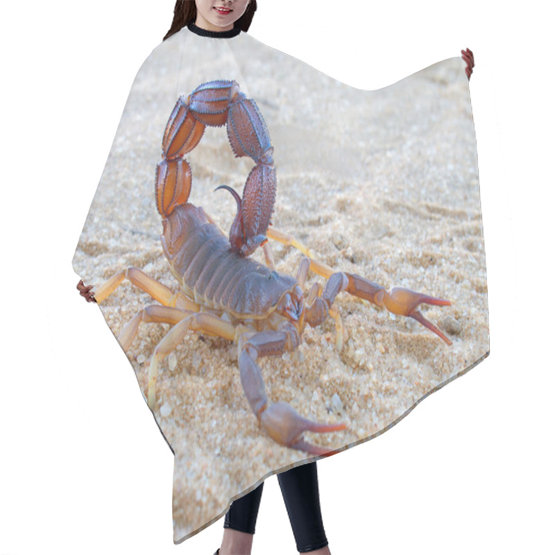 Personality  Aggressive Scorpion Hair Cutting Cape