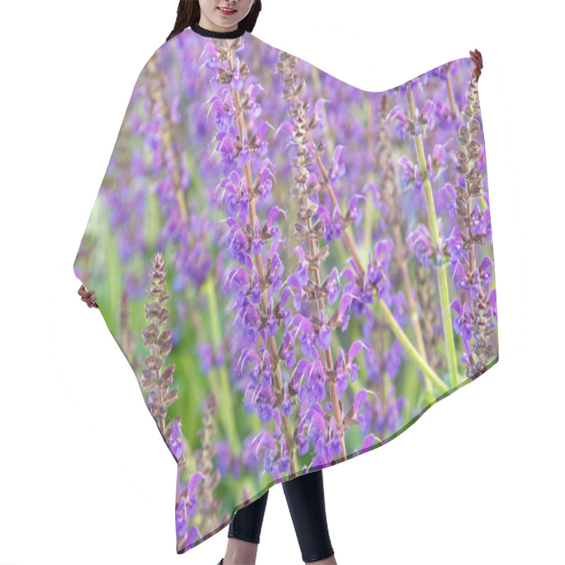 Personality  Salvia Officinalis Flowers Hair Cutting Cape