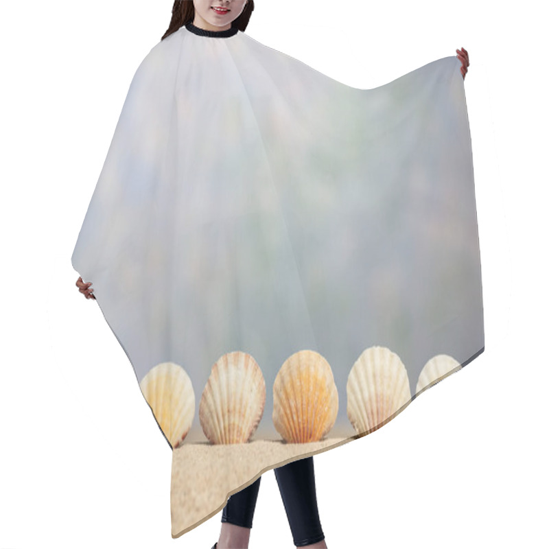 Personality  Sea Shell Border Below OOF Sky With Copy Space Hair Cutting Cape