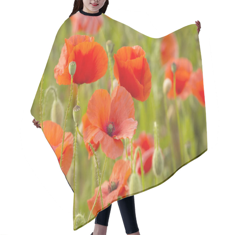 Personality  Field Of Red Poppies On Green Grass Hair Cutting Cape