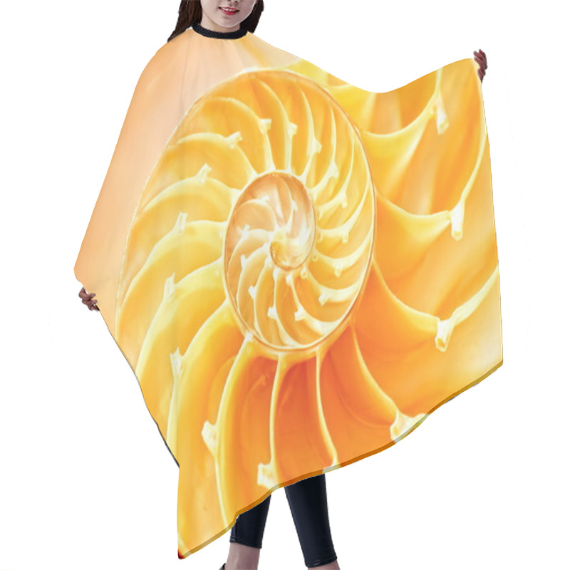 Personality  Nautilus Shell Section Hair Cutting Cape