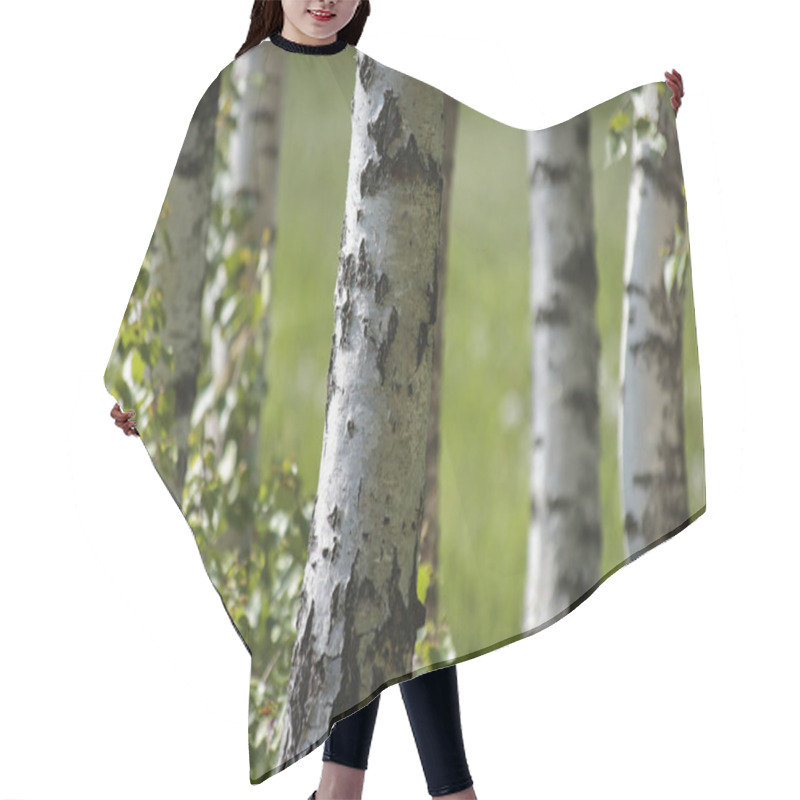 Personality  Spring Birch Trees With Green Meadow On Background Hair Cutting Cape