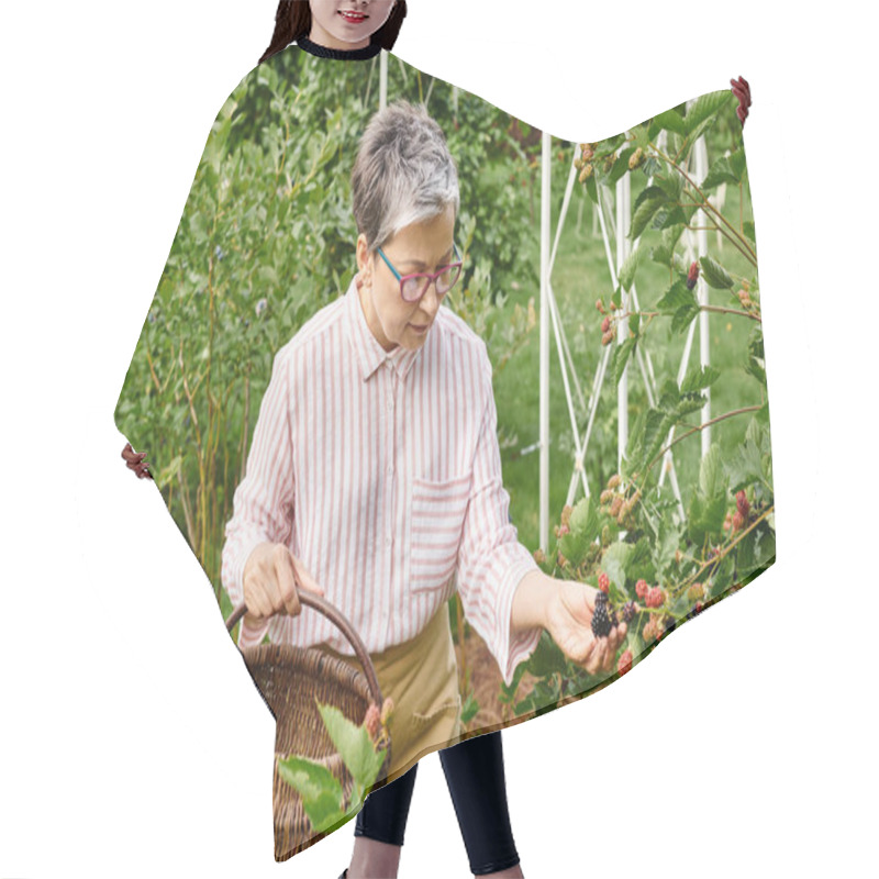 Personality  Attractive Mature Jolly Woman With Glasses Picking Fresh Berries Into Straw Basket In Her Garden Hair Cutting Cape