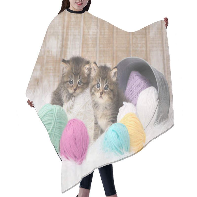 Personality  Kittens With Balls Of Yarn In Studio Hair Cutting Cape