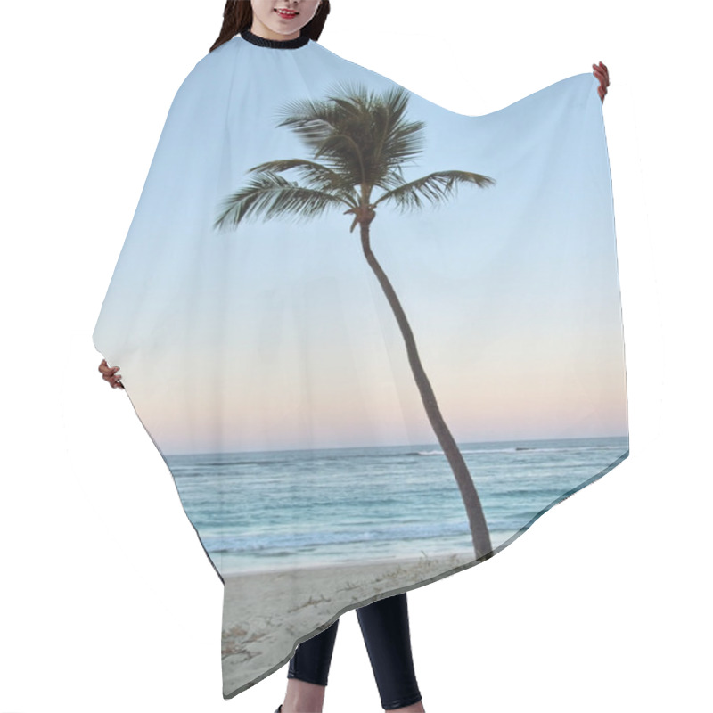 Personality  Palm Tree At Evening Time Hair Cutting Cape