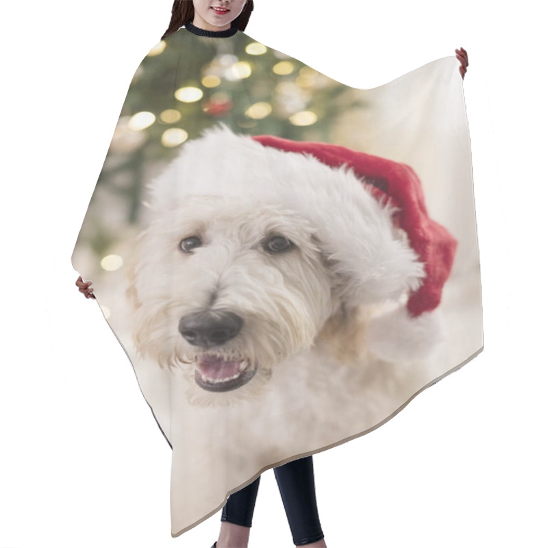 Personality  Close Up Of Happy Dog Wearing Santa Claus Hat Hair Cutting Cape