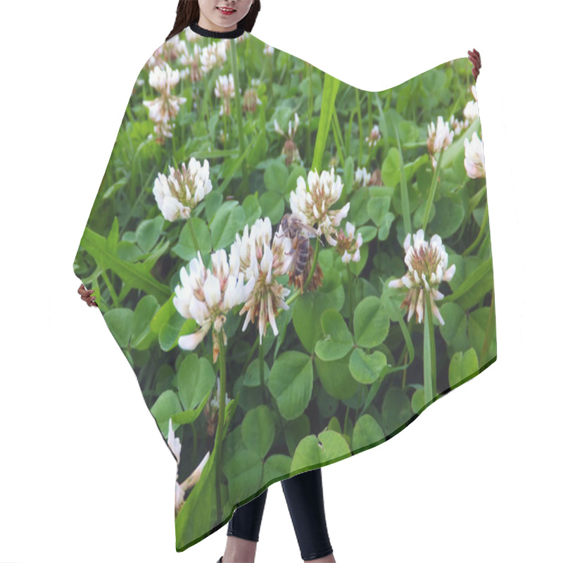 Personality  Overgrown Meadow Young White Clover  Hair Cutting Cape