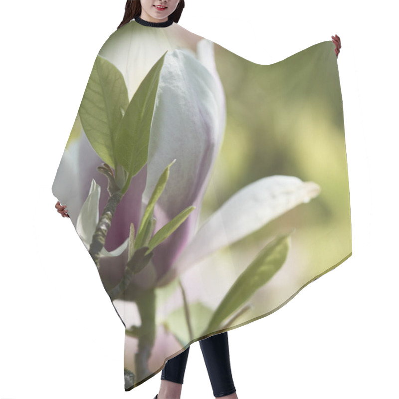 Personality  Blooming Magnolias In Spring In A Park Hair Cutting Cape