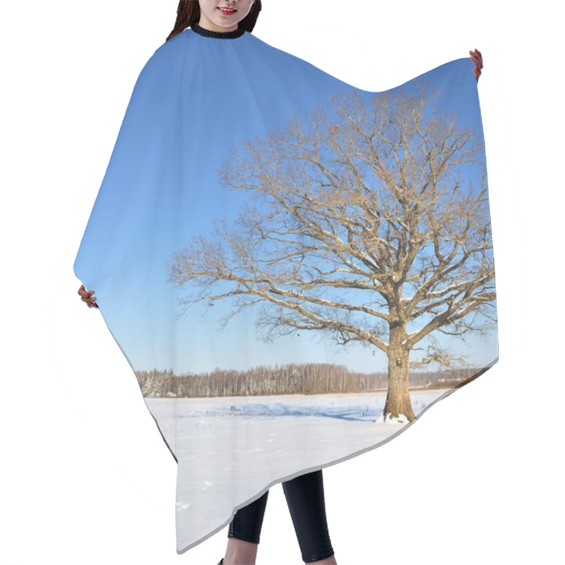 Personality  Lonely Oak Tree In The Field In Winter Hair Cutting Cape