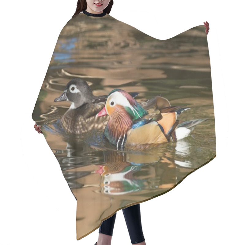 Personality  Female Wood Duck And A Male Mandarin Duck Gliding On The Water Hair Cutting Cape