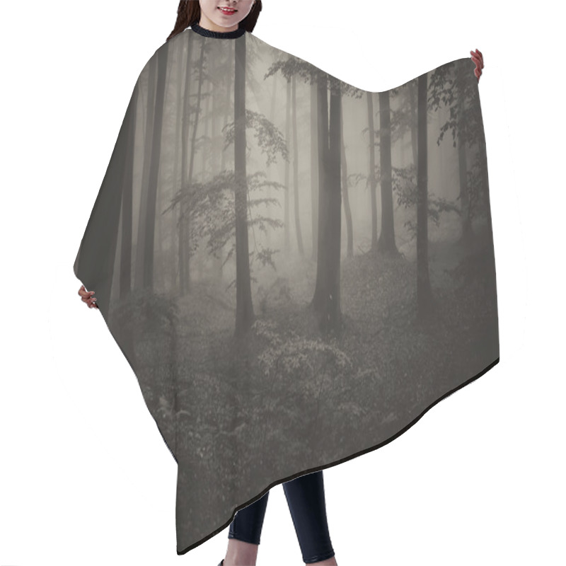 Personality  Foggy Forest Landscape Hair Cutting Cape