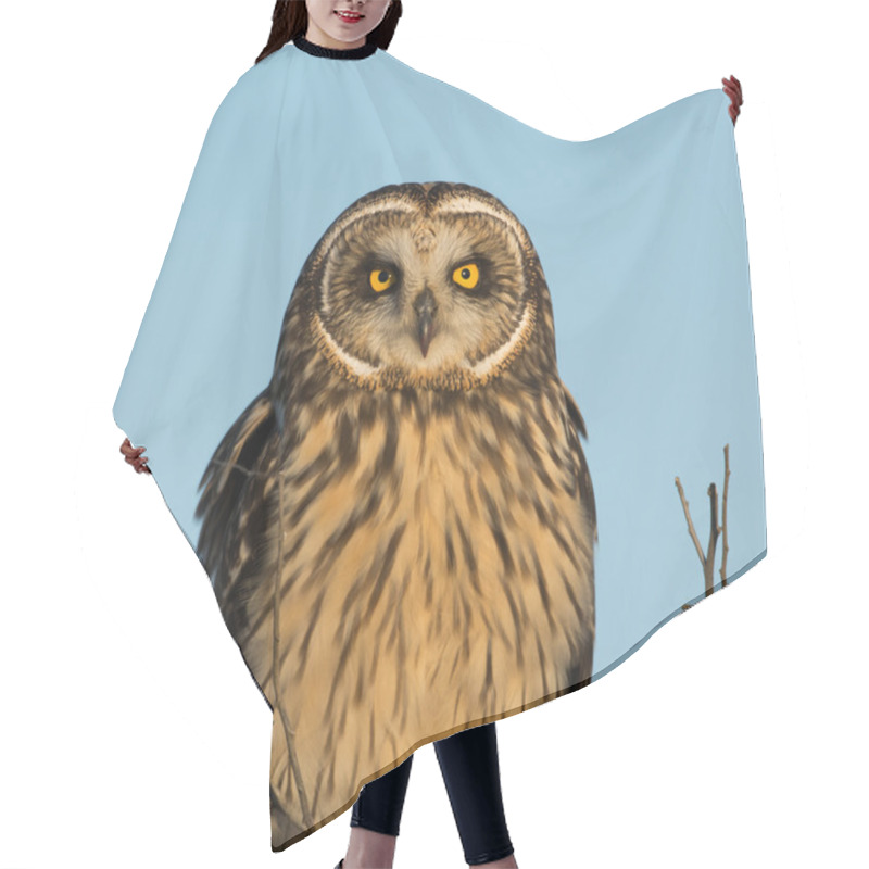 Personality  Short Eared Owl Hair Cutting Cape