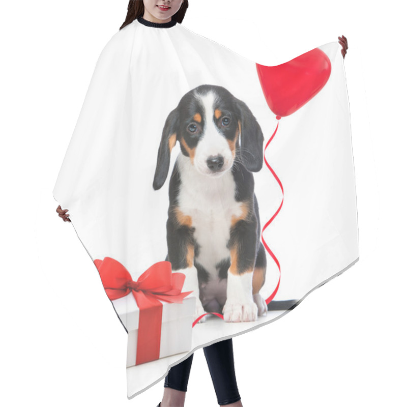 Personality  Party Dog Hair Cutting Cape