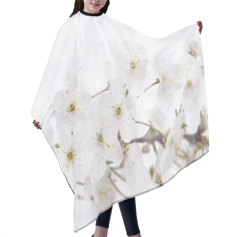 Personality  Spring Blossoms Over White Hair Cutting Cape