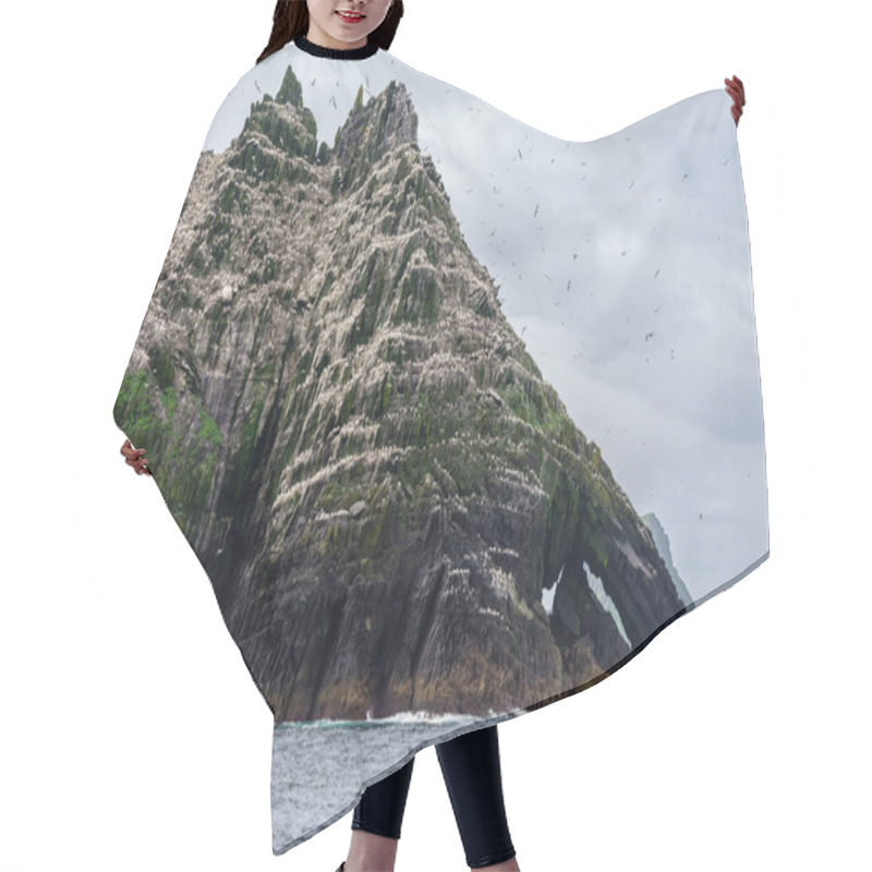 Personality  Sceilg Bheag , Skellig Rock Small, Ireland, United Kingdom Hair Cutting Cape