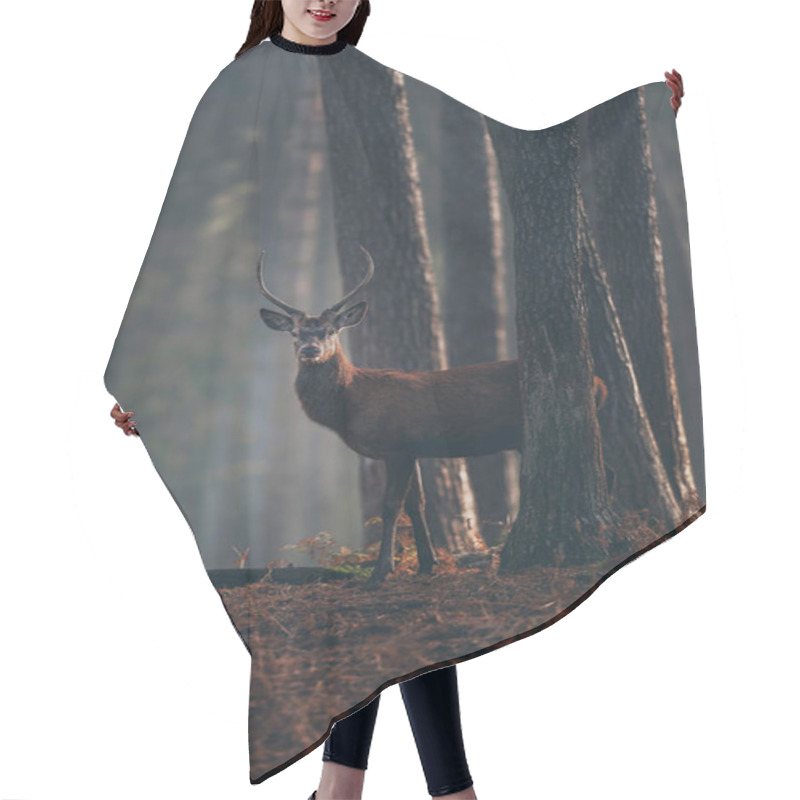 Personality  Red Deer Between Tree Trunks Hair Cutting Cape