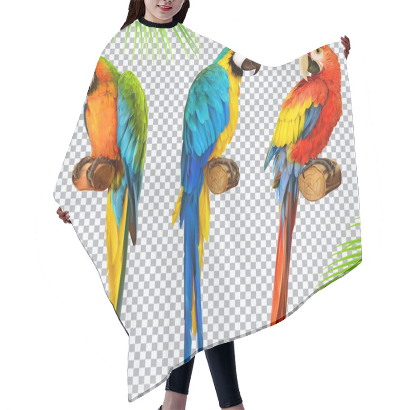 Personality  Ara Parrot. Macaw. Photo Realistic 3d Vector Icon Set Hair Cutting Cape