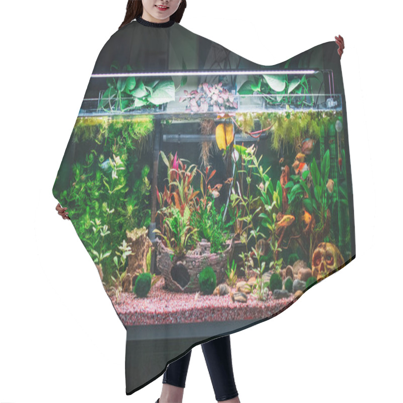 Personality  A Great Jungle Planted Aquarium Hair Cutting Cape