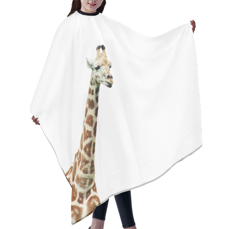 Personality  Giraffe Isolated Hair Cutting Cape