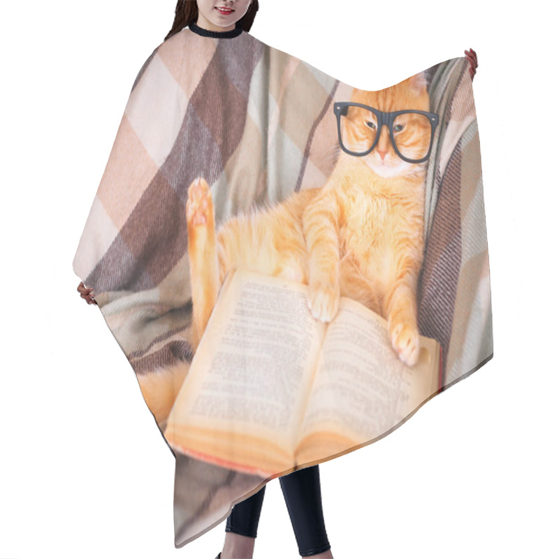 Personality  Red Cat In Glasses Lying On Sofa With Book Hair Cutting Cape