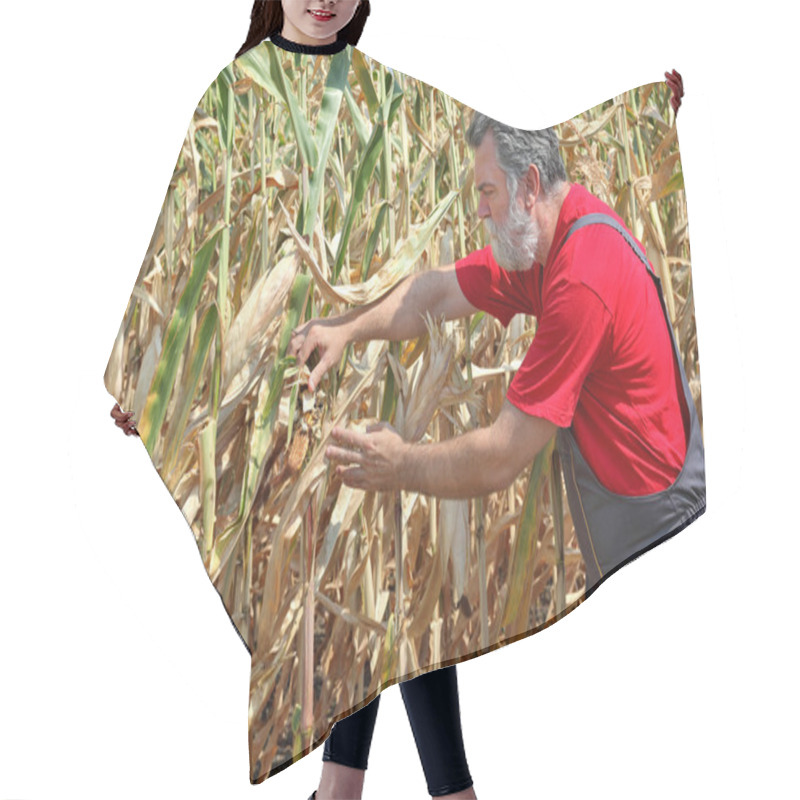 Personality  Agricultural Scene, Farmer Or Agronomist Inspect Damaged Corn Fi Hair Cutting Cape