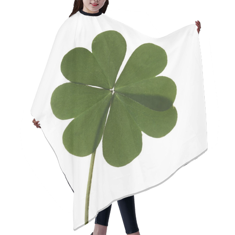 Personality  Green Four Leaf Clover Isolated On White Hair Cutting Cape