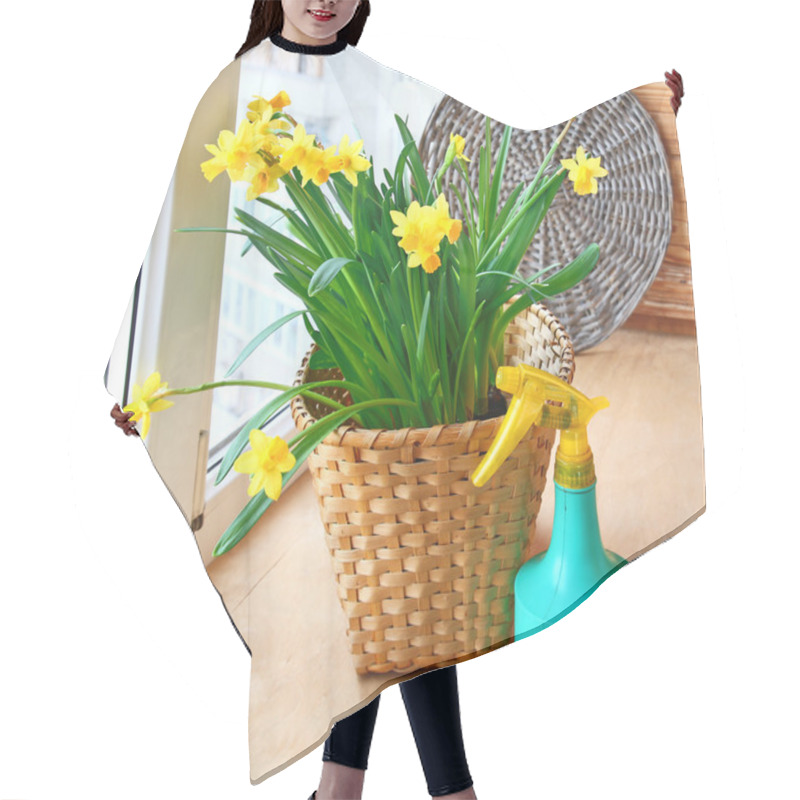 Personality  Basket With Daffodils And Sprayer On The Balcony Window. Hair Cutting Cape