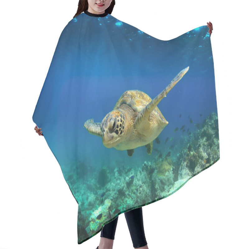 Personality  Green Sea Turtle Swimming Underwater Hair Cutting Cape