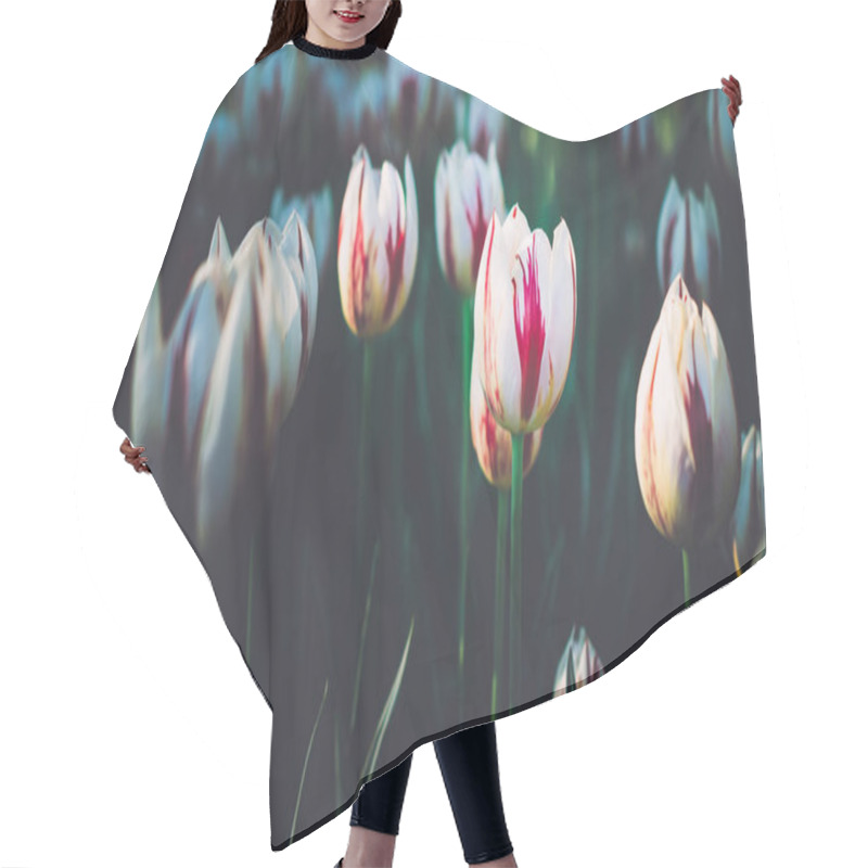 Personality  Close Up Beautiful Tulips On Summer Day In Dark Tone With Copy S Hair Cutting Cape