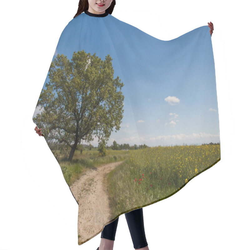 Personality  Dirt Path In Country Fields On A Sunny Summer Day Hair Cutting Cape