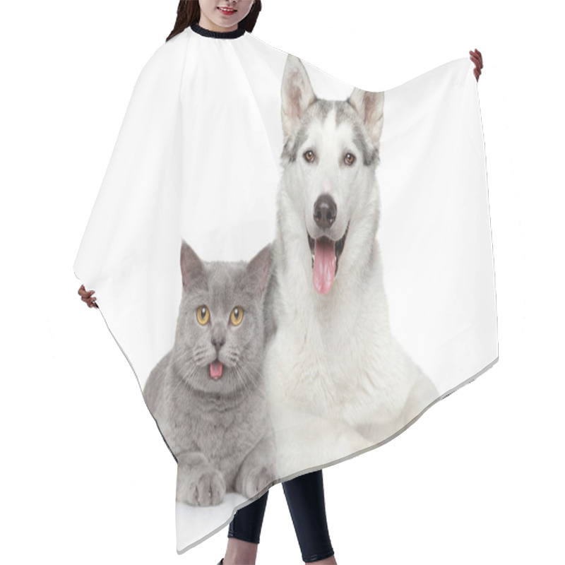 Personality  Cat And Dog Together On A White Background Hair Cutting Cape