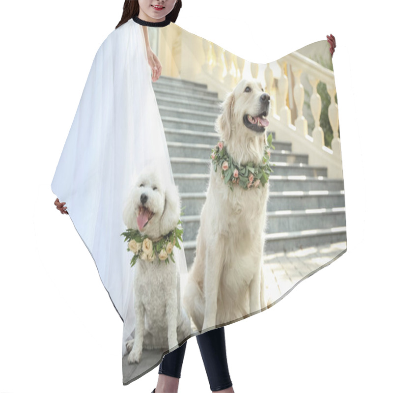 Personality  Bride And Adorable Dogs Wearing Wreathes Made Of Beautiful Flowers Outdoors, Closeup Hair Cutting Cape