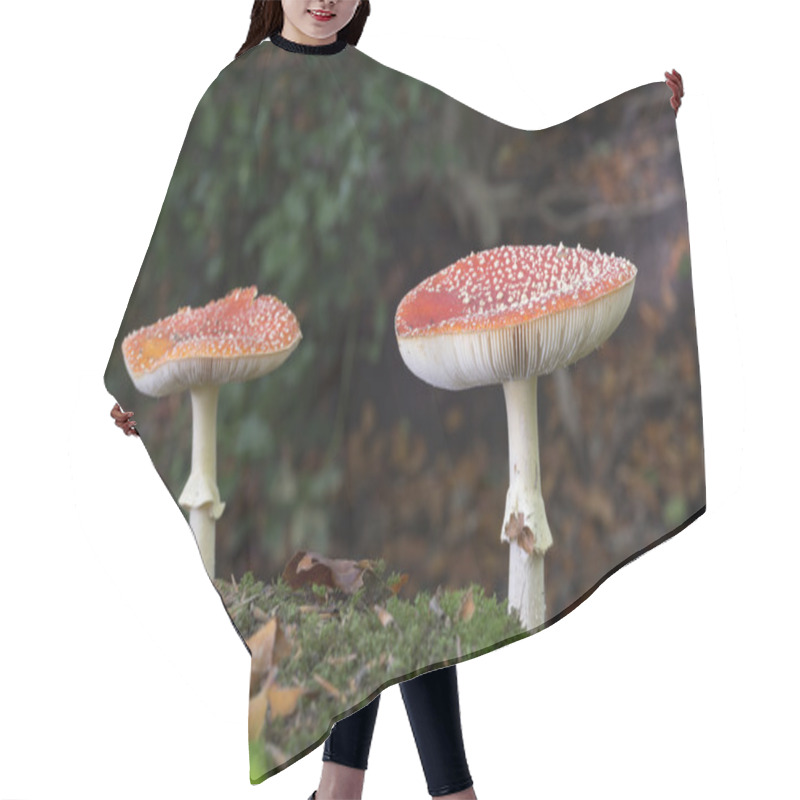 Personality  Amanita Muscaria Hair Cutting Cape