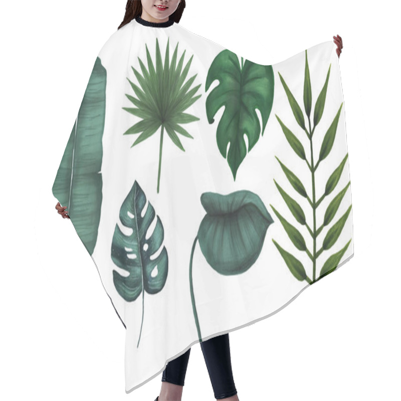 Personality  Set Of Hand Drawing Dark Green Tropical Leaves On White Background. Hair Cutting Cape