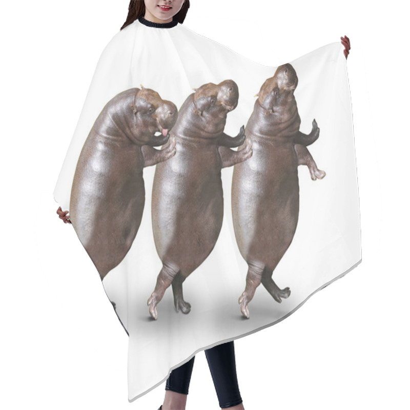 Personality  Three Obese Hippos Hair Cutting Cape