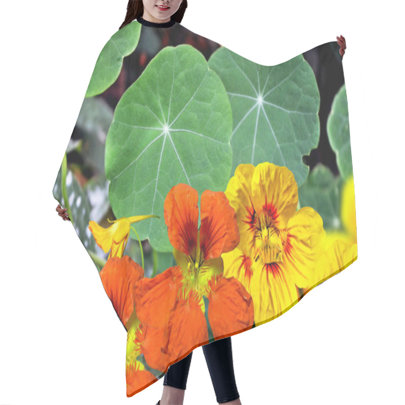 Personality  Nasturtium Flowers Hair Cutting Cape