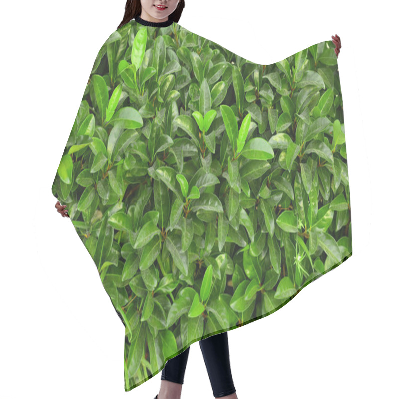 Personality  Tropical Bush With Green Leaves Hair Cutting Cape