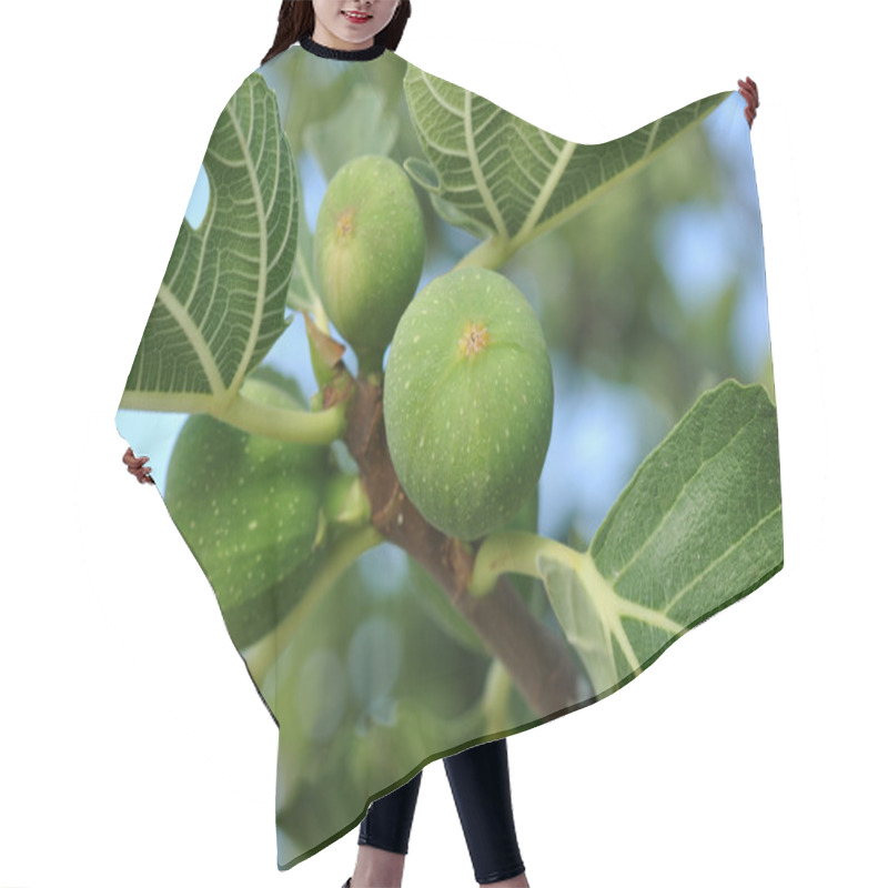 Personality  Green Figs Hair Cutting Cape