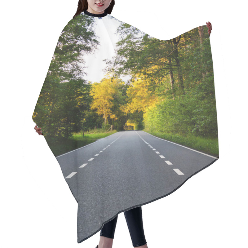 Personality  Peaceful Asphalt Road Stretches Through Green Trees Adorned With Golden Birch Tree Foliage, Illuminated By A Warm Summer Sunset In The Netherlands, Inviting Tranquility And Exploration Hair Cutting Cape