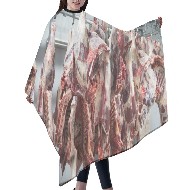 Personality  Freshly Slaughtered Halves Of Cattle Hanging On The Hooks In A Refrigerator Room Of A Meat Plant For Further Food Processing. Hair Cutting Cape