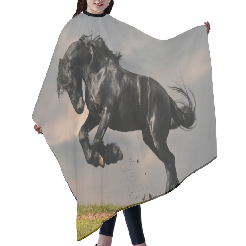 Personality  Black Friesian Stallion Gallop In Sunset Hair Cutting Cape