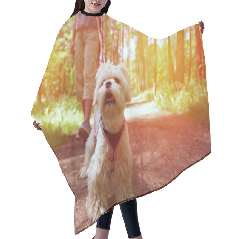 Personality  Woman Walking With Dog Hair Cutting Cape